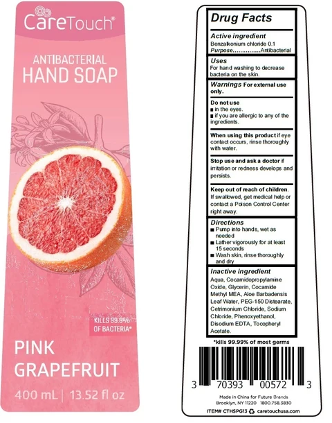 Care Touch Antibacterial Handsoap Pink Grapefruit 포장