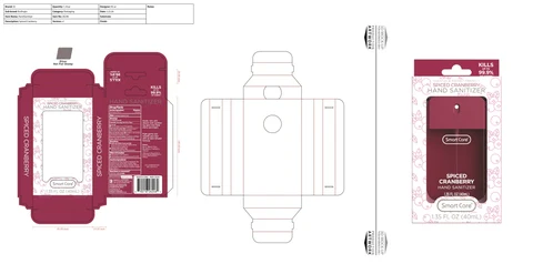 Smart Care Hand Sanitizer Holiday-Spiced Cranberry 포장