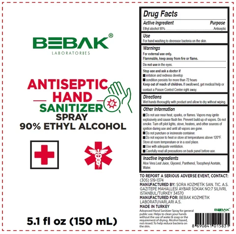 Bebak Laboratories Hand Sanitizer 포장