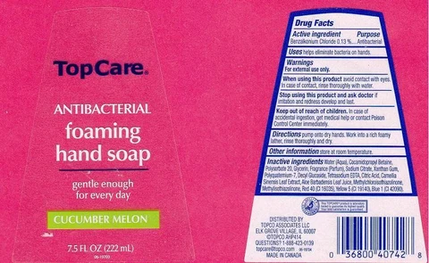 TOPCAREANTIBACTERIAL FOAMING HAND CUCUMBER MELON 포장