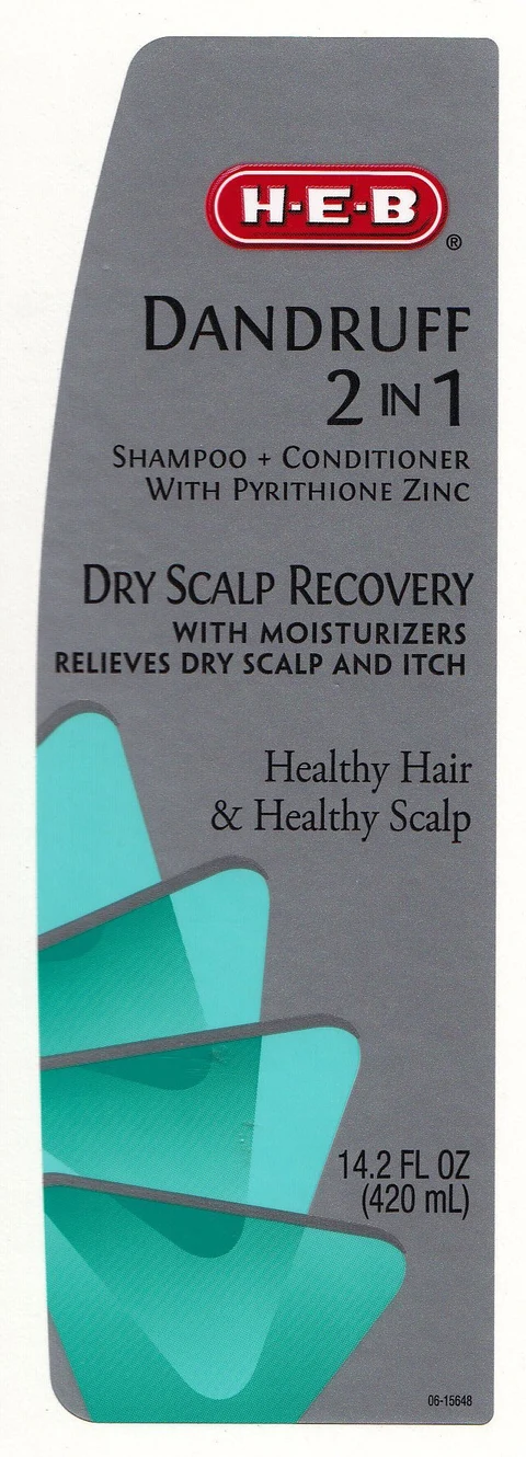 DANDRUFF 2 IN 1 SHAMPOO AND CONDITIONER DRY SCALP RECOVERY 포장