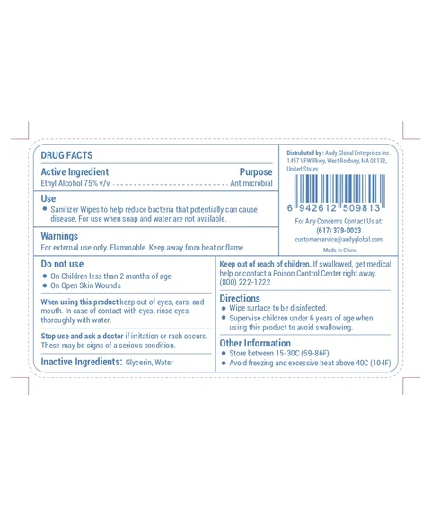 Hand Sanitizer Wipes packaging