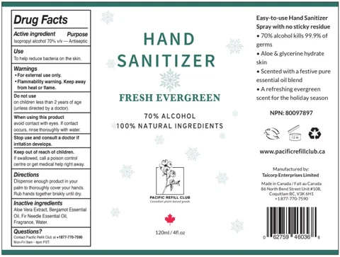 Hand Sanitizer FRESH EVERGREEN packaging