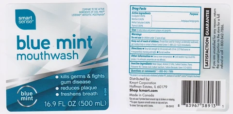 SMART SENSEBLUE MINT 포장