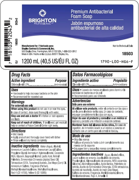 BRIGHTON PROFESSIONAL Premium Antibacterial Foam So ap 포장