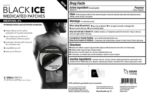 BLACK ICE MEDICATED PATCHES 포장