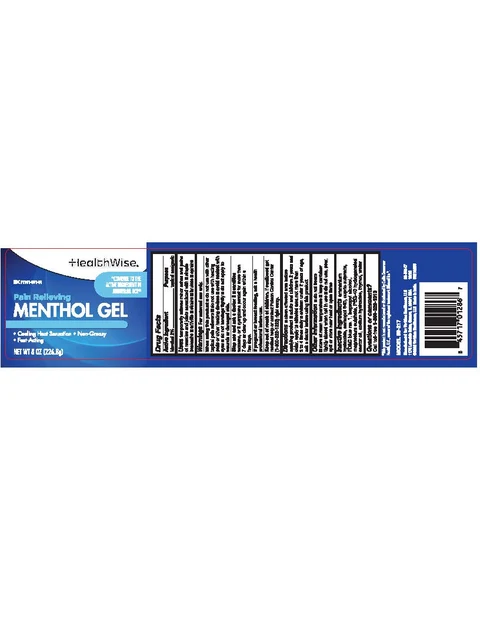 HealthWise Pain Relieving Menthol Gel packaging