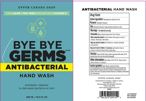 BYE BYE GERMS Antibacterial Hand Wash with Aloe and Tea Tree enriched with Vitamin E 포장