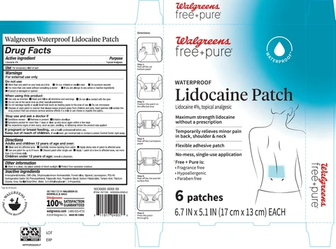 Walgreens Lidocaine Back packaging