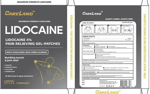 Careland Lidocaine 4 Pain Relieving Gel-Patches 포장