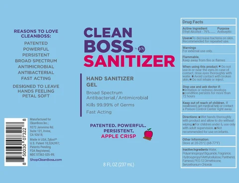 CleanBoss Hand Sanitizing Gel 포장