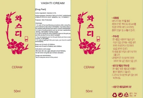 VASHTI 포장