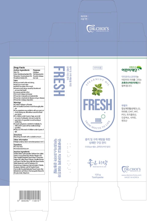 DR.CHOIS TOOTHPASTE FRESH 포장