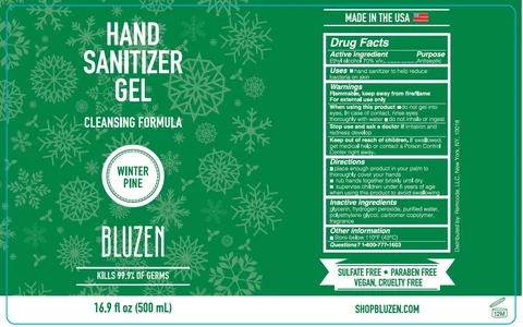 BLUZEN HAND SANITIZER WINTER PINE 포장