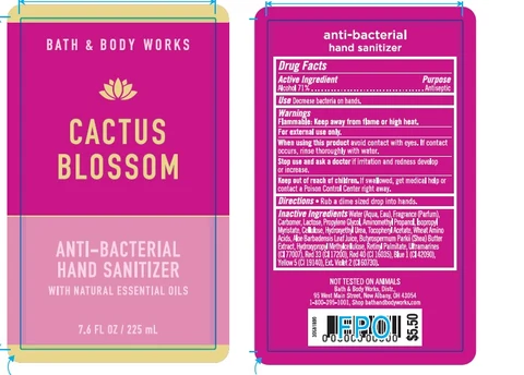 Anti-Bacterial Hand SanitizerCactus Blossom 포장