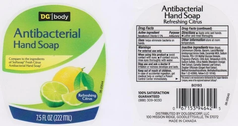DG BODYREFRESHING CITRUS 포장