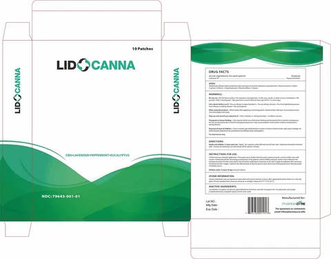 Lidocanna packaging