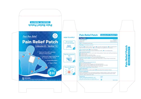 4% lidocaine plus 1% menthol Pain Relief Patch 포장