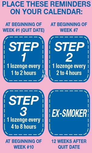 calendar stickers