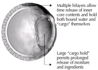 Microvesicle Image
