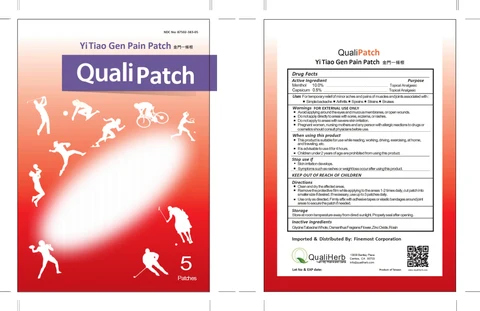 Yi Tiao Gen Pain Patch packaging