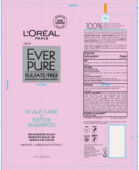 LOreal Paris Ever Pure Dandruff Scalp Care and Detox packaging