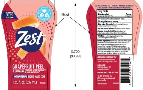 Zest Antibacterial Liquid HandGrapefruit Peel 포장