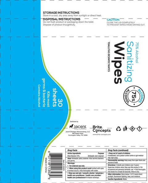 Sanitizing Wipes 포장