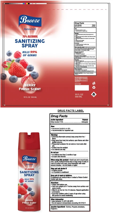 BREEZE SANITIZING BERRY FRESH SCENT 포장