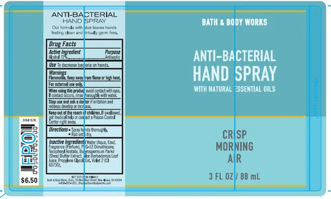 Anti-Bacterial HandCrisp Morning Air 포장