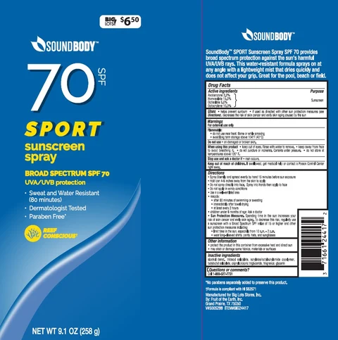Big Lots Soundbody SPF 70 Sport Sunscreen 포장