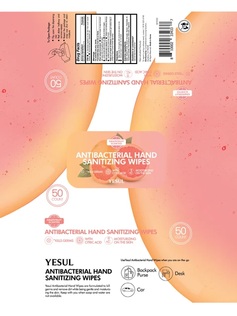 YESUL ANTIBACTERIAL HAND SANITIZING WIPES packaging