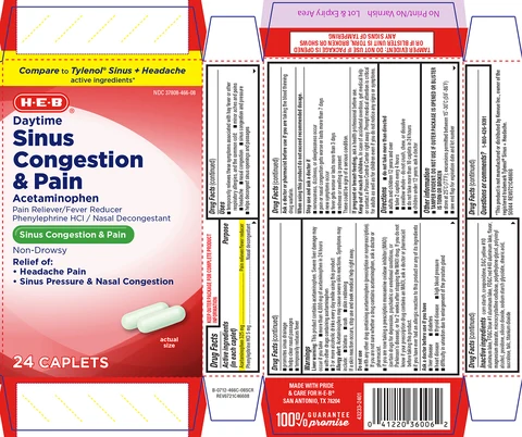 Sinus Congestion and PainDaytime Non-Drowsy 포장