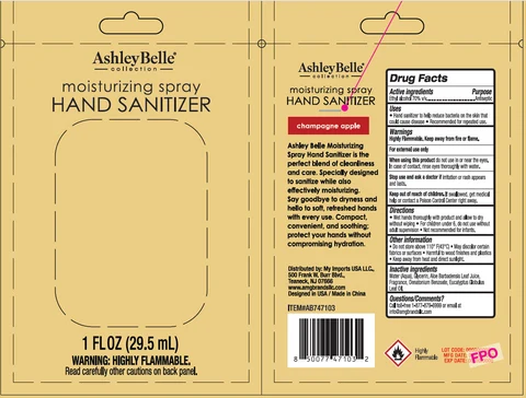 AshleyBelle Moisturizing Hand Sanitizer Champagne Apple 포장