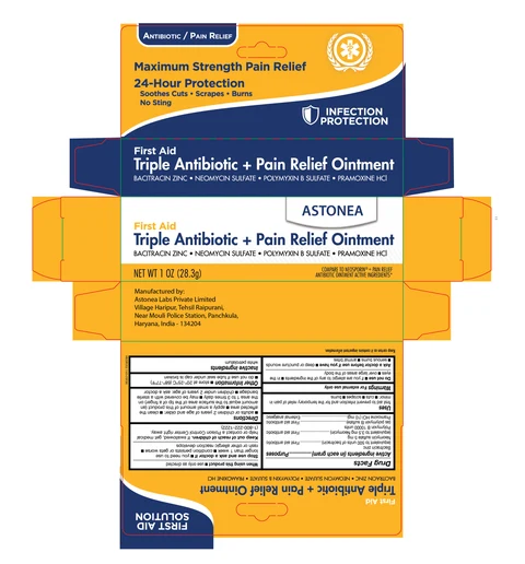 AstoneaTriple Antibiotic Pain Relief 포장