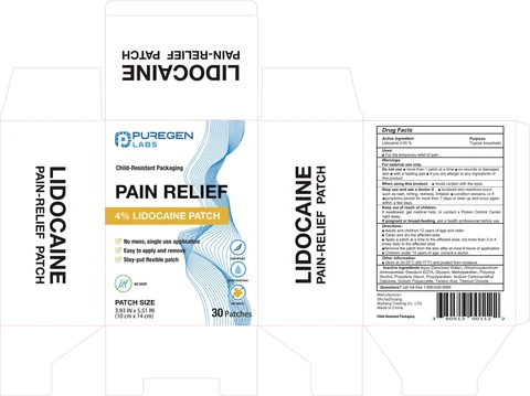 Lidocaine Pain Relief Patch packaging