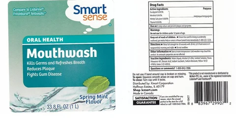 SMART SENSESPRING MINT 포장