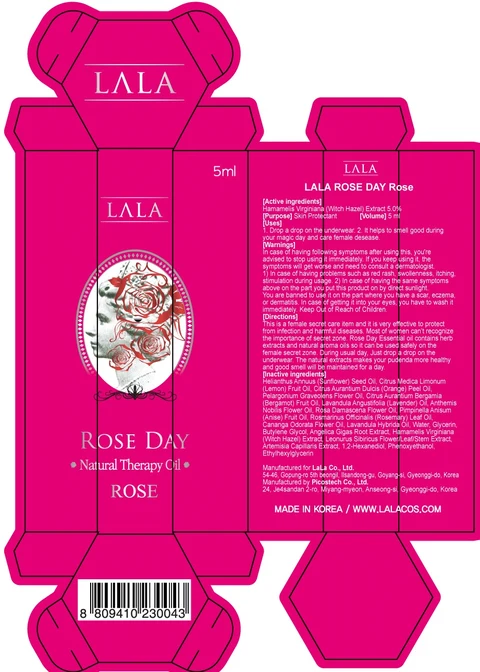 Roseday Rose packaging