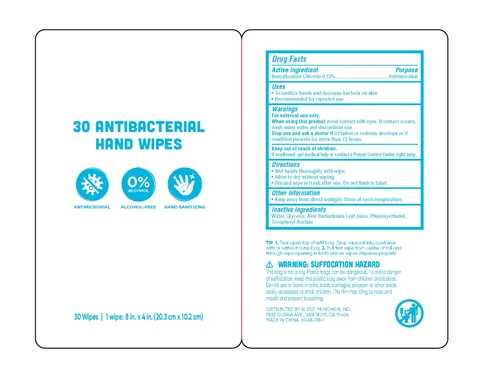 Xtraguard Antibacterial Hand Wipes packaging