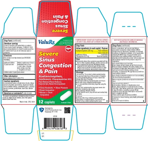 Severe Sinus Congestion and Pain 포장