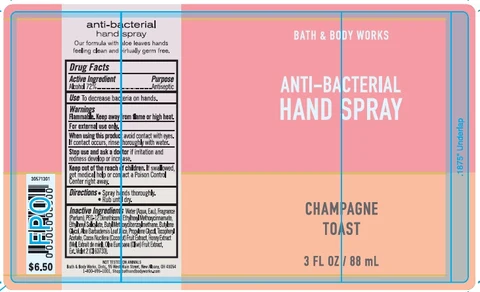 Anti-Bacterial HandChampagne Toast 포장