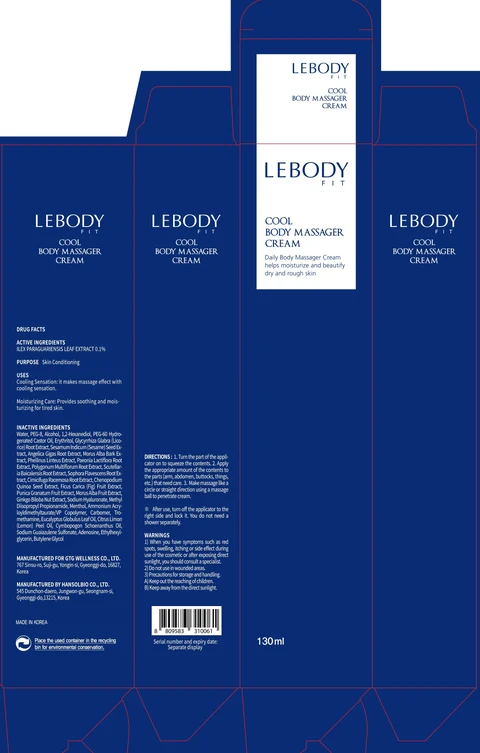 LEBODY FIT COOL BODY MASSAGER packaging