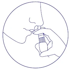 FIgure C