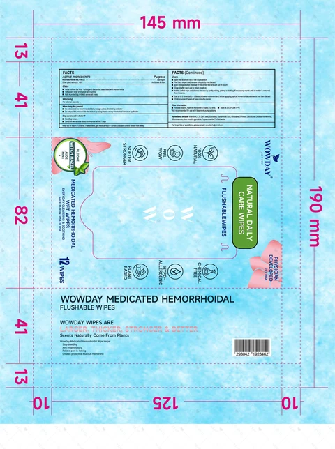 WOWDAY MEDICATED HEMORRHOIDAL FLUSHABLE WIPES 포장