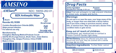 BZK Antiseptic Wipe 포장