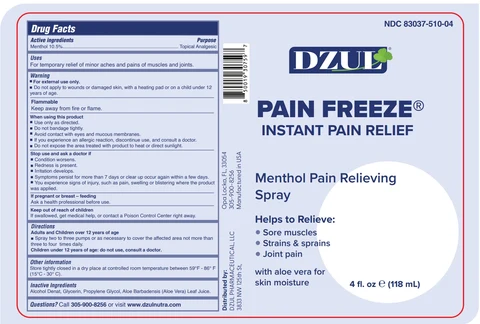 DZUL PAIN FREEZEINSTANT PAIN RELIEF 포장