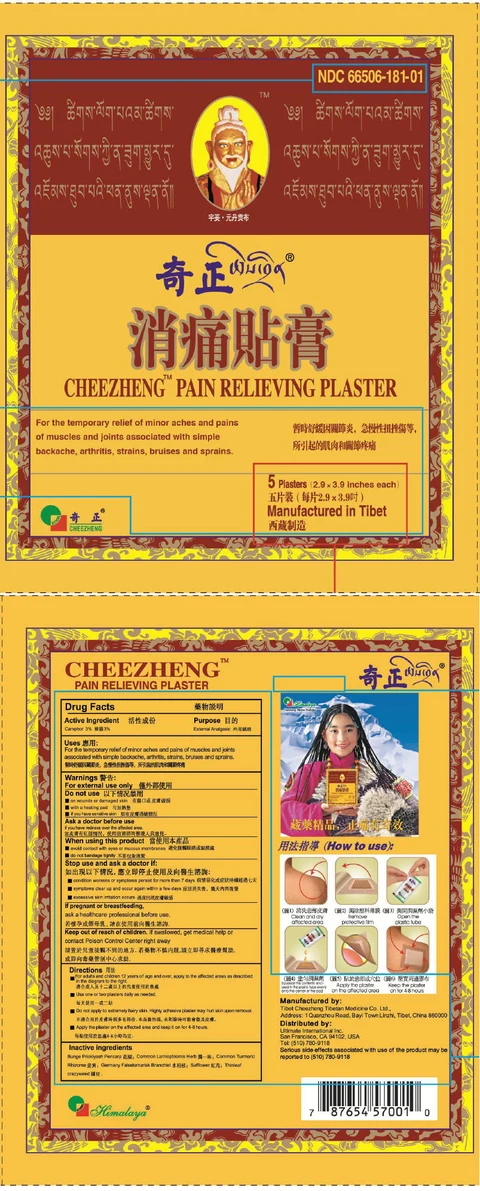 Cheezheng Pain Relieving 포장