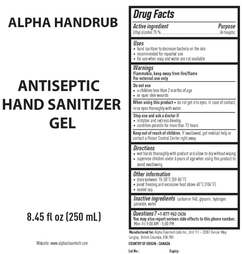 ALPHA HANDRUB ANTISEPTIC HAND SANITIZER 포장