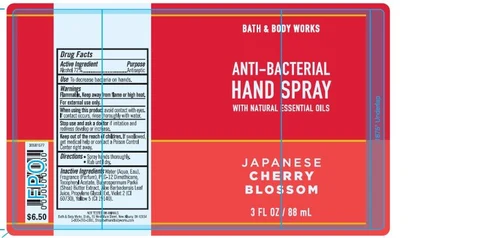 Anti-Bacterial HandJapanese Cherry Blossom 포장