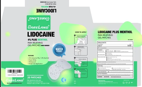 Careland Lidocaine 4 plus menthol pain relieving gel-patches with border for knee 포장